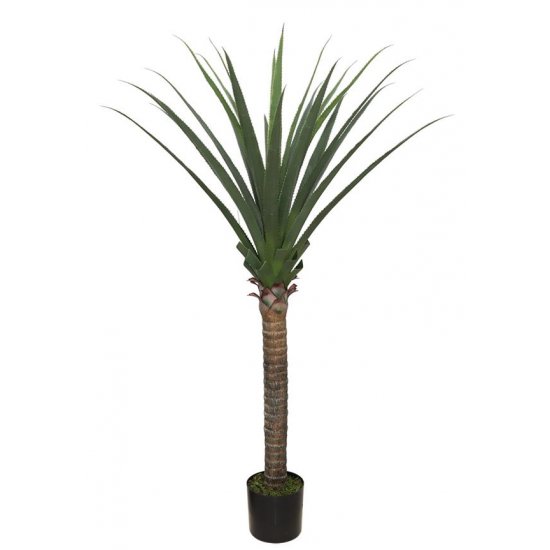 AGAVE TREE  NP802_160  ΥΨΟΣ 160cm 