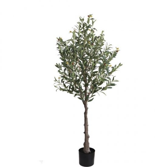 OLIVE TREE NP439_150  ΥΨΟΣ 150cm 