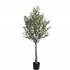 OLIVE TREE NP439_150  ΥΨΟΣ 150cm 