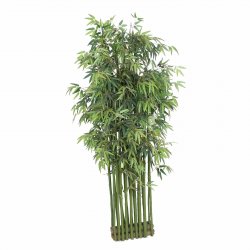 Supergreens Τεχνητό Μπαμπού Tallgrass Διαχωριστικό