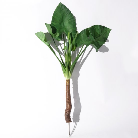 Supergreens Τεχνητή Χωνευτή Μπανανιά Πράσινη 154 ε Supergreens Τεχνητή Χωνευτή Μπανανιά Πράσινη 154 ε