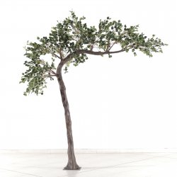 Supergreens Τεχνητό Δέντρο Παχίρα Πράσινο 320 εκ. Supergreens Τεχνητό Δέντρο Παχίρα Πράσινο 320 εκ.