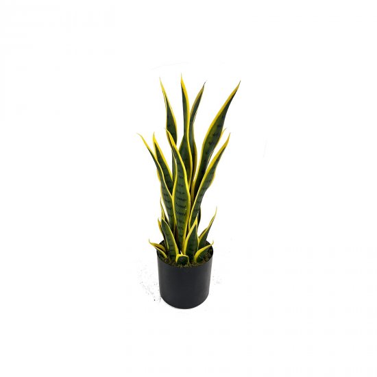 Supergreens Τεχνητό Φυτό Σανσεβιέρα Trifasciata Πρ Supergreens Τεχνητό Φυτό Σανσεβιέρα Trifasciata Πρ