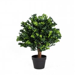 Supergreens Τεχνητό Φυτό Πυξάρι Πράσινο 60 εκ. Supergreens Τεχνητό Φυτό Πυξάρι Πράσινο 60 εκ.