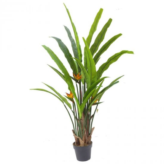 Supergreens Τεχνητό Δέντρο Strelizia Reginas Supergreens Τεχνητό Δέντρο Strelizia Reginas
