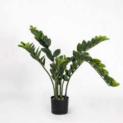 Supergreens Τεχνητό Φυτό Ζάμια 