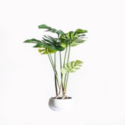 Supergreens Τεχνητό Φυτό Μονστέρα Πράσινο 65 εκ. Supergreens Τεχνητό Φυτό Μονστέρα Πράσινο 65 εκ.