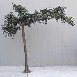 Supergreens Τεχνητό Δέντρο Βουκαμβίλια Μαύρη 320 ε Supergreens Τεχνητό Δέντρο Βουκαμβίλια Μαύρη 320 ε