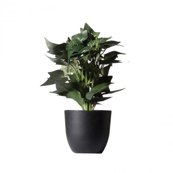 Supergreens Τεχνητό Φυτό Κισσός Silver Πράσινο 30 Supergreens Τεχνητό Φυτό Κισσός Silver Πράσινο 30