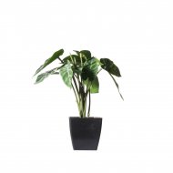 Supergreens Τεχνητό Φυτό Αλοκάσια Amazonica 'Polly