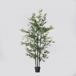 Supergreens Τεχνητό Δέντρο Μπαμπού Lucky Πράσινο 1 Supergreens Τεχνητό Δέντρο Μπαμπού Lucky Πράσινο 1