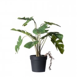 Supergreens Τεχνητό Φυτό Μονστέρα Minima Πράσινο 3 Supergreens Τεχνητό Φυτό Μονστέρα Minima Πράσινο 3