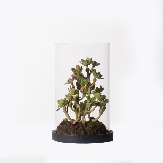 Supergreens Τεχνητό Φυτό Σέντουμ Cauticola Πράσινο Supergreens Τεχνητό Φυτό Σέντουμ Cauticola Πράσινο