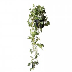 Supergreens Τεχνητό Φυτό Πόθος Neon Πράσινο72 εκ. Supergreens Τεχνητό Φυτό Πόθος Neon Πράσινο72 εκ.