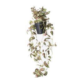 Supergreens Τεχνητό Φυτό Πόθος Πράσινο 72 εκ. Supergreens Τεχνητό Φυτό Πόθος Πράσινο 72 εκ.