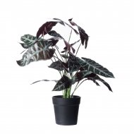 Supergreens Τεχνητό Φυτό Αλοκάσια Amazonica Polly 