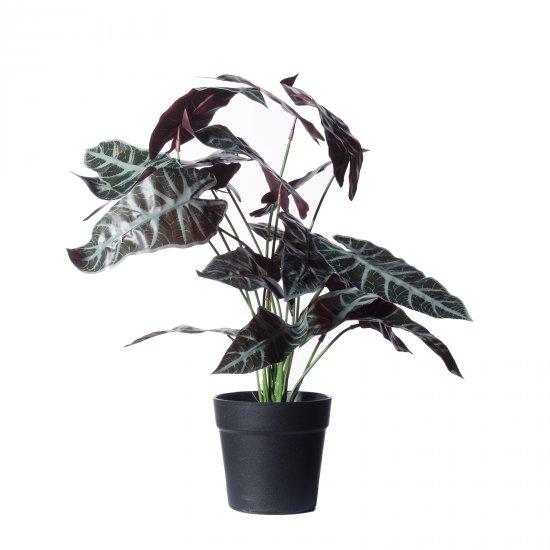 Supergreens Τεχνητό Φυτό Αλοκάσια Amazonica Polly Supergreens Τεχνητό Φυτό Αλοκάσια Amazonica Polly