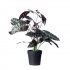 Supergreens Τεχνητό Φυτό Αλοκάσια Amazonica Polly 