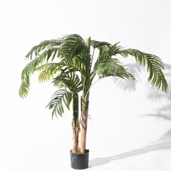 Supergreens Τεχνητό Δέντρο Αρέκα Πράσινο 170 εκ. Supergreens Τεχνητό Δέντρο Αρέκα Πράσινο 170 εκ.