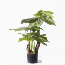 Supergreens Τεχνητό Φυτό Αλοκάσια Elephant Ears Πρ Supergreens Τεχνητό Φυτό Αλοκάσια Elephant Ears Πρ