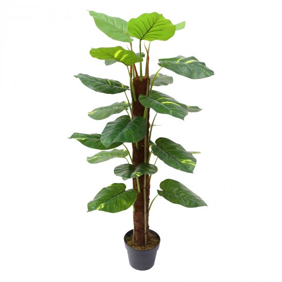 Supergreens Τεχνητό Δέντρο Χρυσός Πόθος Πράσινο 11 Supergreens Τεχνητό Δέντρο Χρυσός Πόθος Πράσινο 11