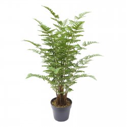 Supergreens Τεχνητό Φυτό Φτέρη Maidenhair Πράσινο Supergreens Τεχνητό Φυτό Φτέρη Maidenhair Πράσινο