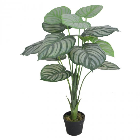 Supergreens Τεχνητό Φυτό Καλαθέα Setosa Πράσινο 85 Supergreens Τεχνητό Φυτό Καλαθέα Setosa Πράσινο 85