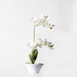 Supergreens Τεχνητό Φυτό Ορχιδέα Phalaenopsis Real Supergreens Τεχνητό Φυτό Ορχιδέα Phalaenopsis Real