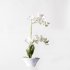 Supergreens Τεχνητό Φυτό Ορχιδέα Phalaenopsis Real