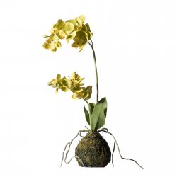 Supergreens Τεχνητό Φυτό Ορχιδέα Phalaenopsis Real Supergreens Τεχνητό Φυτό Ορχιδέα Phalaenopsis Real