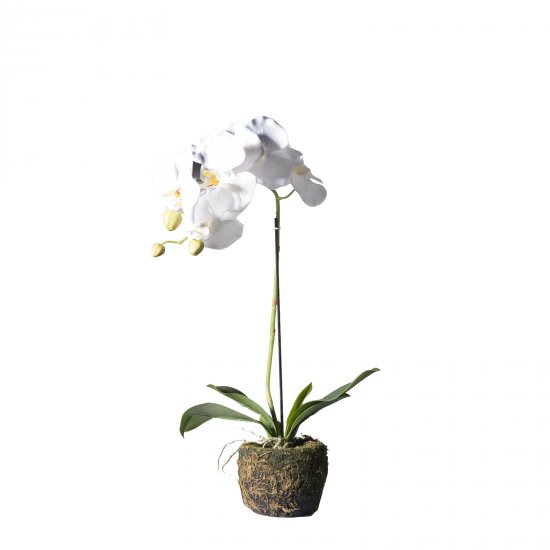 Supergreens Τεχνητό Φυτό Ορχιδέα Phalaenopsis Real