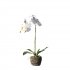 Supergreens Τεχνητό Φυτό Ορχιδέα Phalaenopsis Real