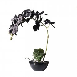 Supergreens Τεχνητό Φυτό Ορχιδέα Phalaenopsis Real Supergreens Τεχνητό Φυτό Ορχιδέα Phalaenopsis Real