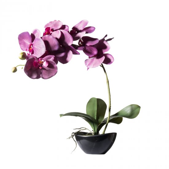 Supergreens Τεχνητό Φυτό Ορχιδέα Phalaenopsis Real Supergreens Τεχνητό Φυτό Ορχιδέα Phalaenopsis Real