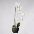 Supergreens Τεχνητό Φυτό Ορχιδέα Phalaenopsis Real