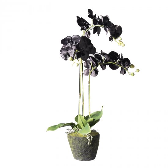 Supergreens Τεχνητό Φυτό Ορχιδέα Phalaenopsis Real Supergreens Τεχνητό Φυτό Ορχιδέα Phalaenopsis Real