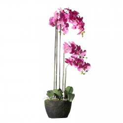 Supergreens Τεχνητό Φυτό Ορχιδέα Phalaenopsis Real Supergreens Τεχνητό Φυτό Ορχιδέα Phalaenopsis Real