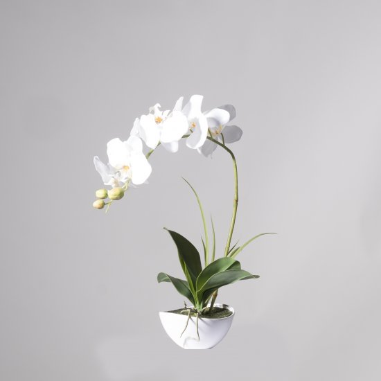 Supergreens Τεχνητό Φυτό Ορχιδέα Phalaenopsis Real Supergreens Τεχνητό Φυτό Ορχιδέα Phalaenopsis Real
