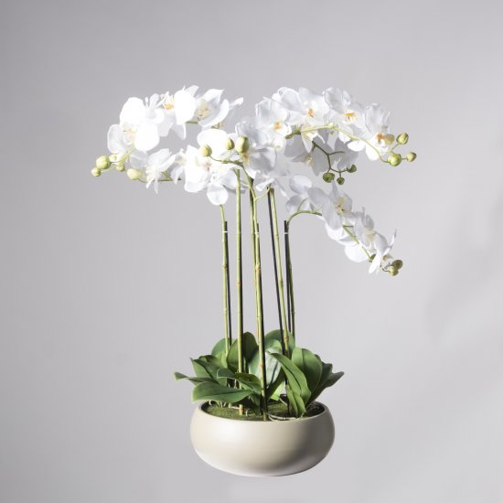 Supergreens Τεχνητό Φυτό Ορχιδέα Phalaenopsis Real Supergreens Τεχνητό Φυτό Ορχιδέα Phalaenopsis Real