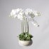 Supergreens Τεχνητό Φυτό Ορχιδέα Phalaenopsis Real