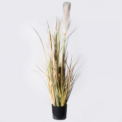 Supergreens Τεχνητό Φυτό Χορτάρι Pennisetum Πράσιν Supergreens Τεχνητό Φυτό Χορτάρι Pennisetum Πράσιν