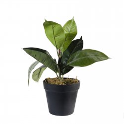Supergreens Τεχνητό Φυτό Φίκος Elastica Πράσινο 30 Supergreens Τεχνητό Φυτό Φίκος Elastica Πράσινο 30