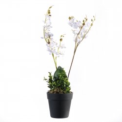 Supergreens Τεχνητό Φυτό Ορχιδέα Phalaenopsis Λευκ Supergreens Τεχνητό Φυτό Ορχιδέα Phalaenopsis Λευκ
