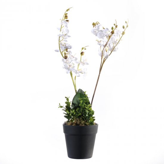 Supergreens Τεχνητό Φυτό Ορχιδέα Phalaenopsis Λευκ Supergreens Τεχνητό Φυτό Ορχιδέα Phalaenopsis Λευκ
