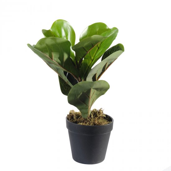 Supergreens Τεχνητό Φυτό Φίκος Λυράτα Πράσινο 25 ε Supergreens Τεχνητό Φυτό Φίκος Λυράτα Πράσινο 25 ε