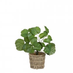 Supergreens Τεχνητό Φυτό Γεράνι Πράσινο 33 εκ. Supergreens Τεχνητό Φυτό Γεράνι Πράσινο 33 εκ.