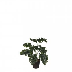 Supergreens Τεχνητό Φυτό Μονστέρα Minima Πράσινο 4 Supergreens Τεχνητό Φυτό Μονστέρα Minima Πράσινο 4