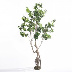 Supergreens Τεχνητό Δέντρο Φίκος Ginseng Πράσινο 2 Supergreens Τεχνητό Δέντρο Φίκος Ginseng Πράσινο 2