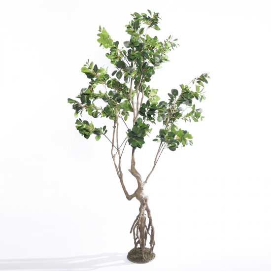 Supergreens Τεχνητό Δέντρο Φίκος Ginseng Πράσινο 2 Supergreens Τεχνητό Δέντρο Φίκος Ginseng Πράσινο 2