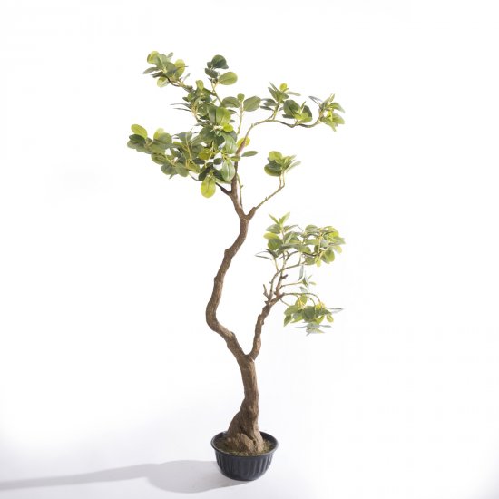 Supergreens Τεχνητό Δέντρο Φίκος Ginseng Πράσινο 1 Supergreens Τεχνητό Δέντρο Φίκος Ginseng Πράσινο 1